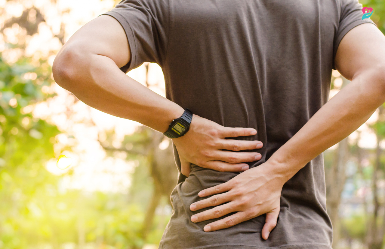what to expect at physical therapy for lower back pain