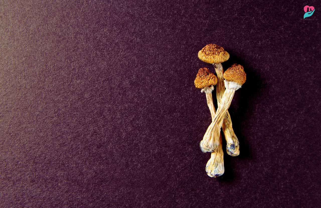how to store magic mushrooms