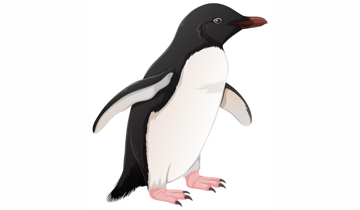 Do Penguins Have Ears