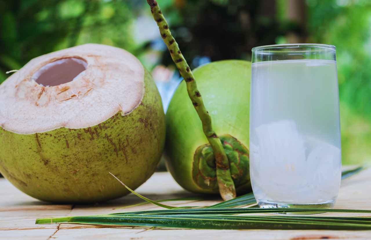 can you drink brown coconut water